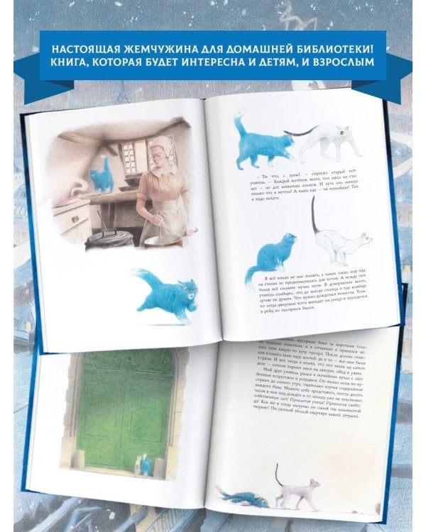 Кошачий рай