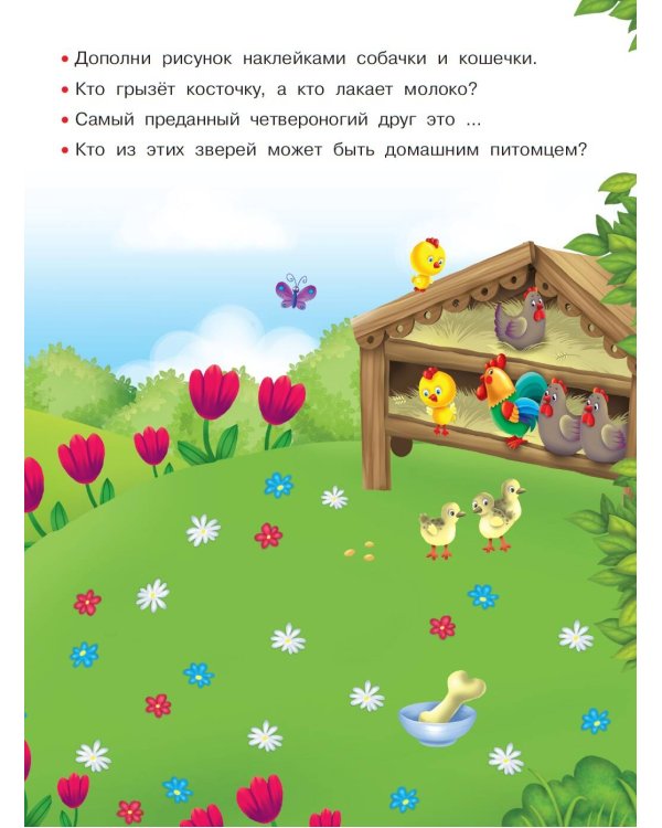 Домашние любимцы