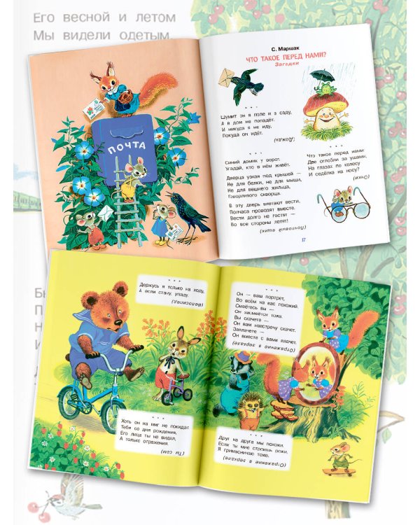 Загадки в стихах и картинках