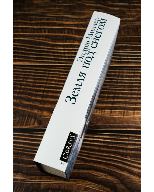 Земля под снегом