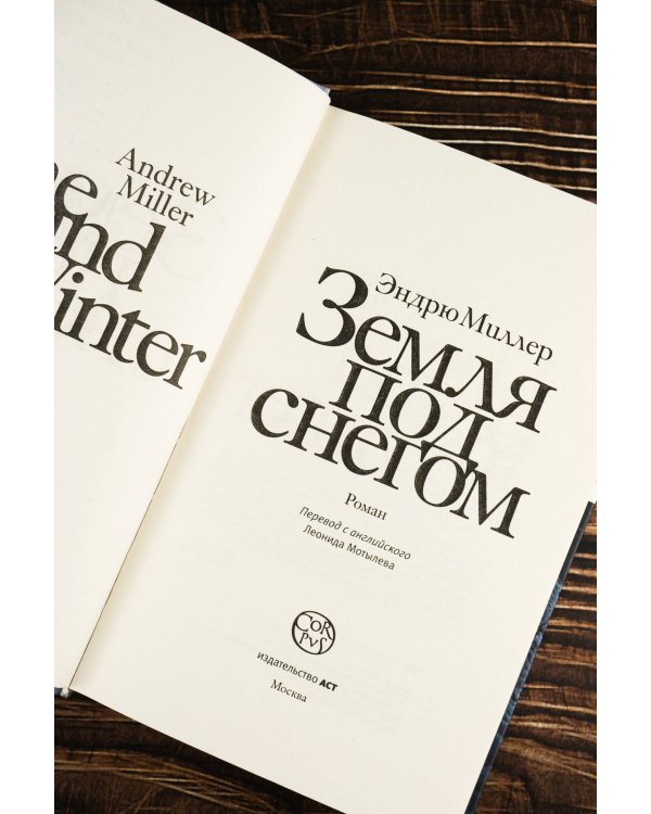 Земля под снегом