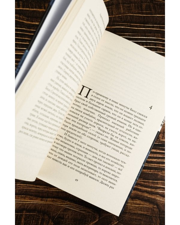 Земля под снегом