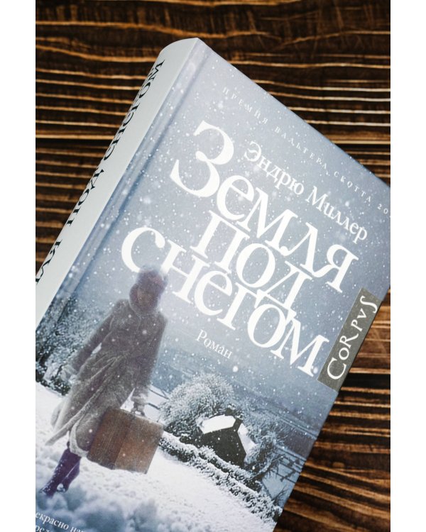 Земля под снегом