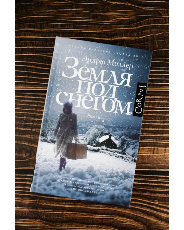 Земля под снегом