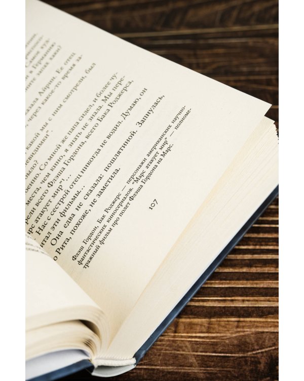 Земля под снегом