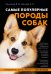 Самые популярные породы собак (ноф. оф.)