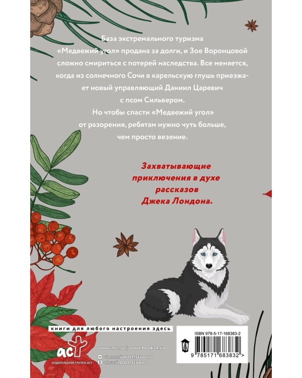 Зима, любовь, экстрим и хаски