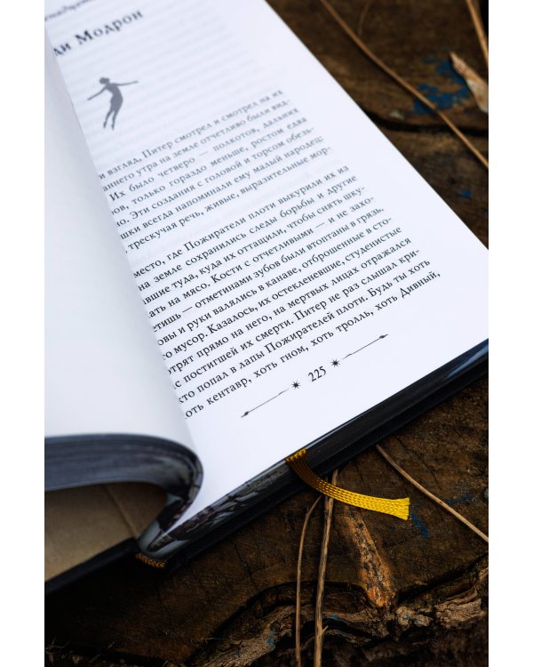 Похититель детей