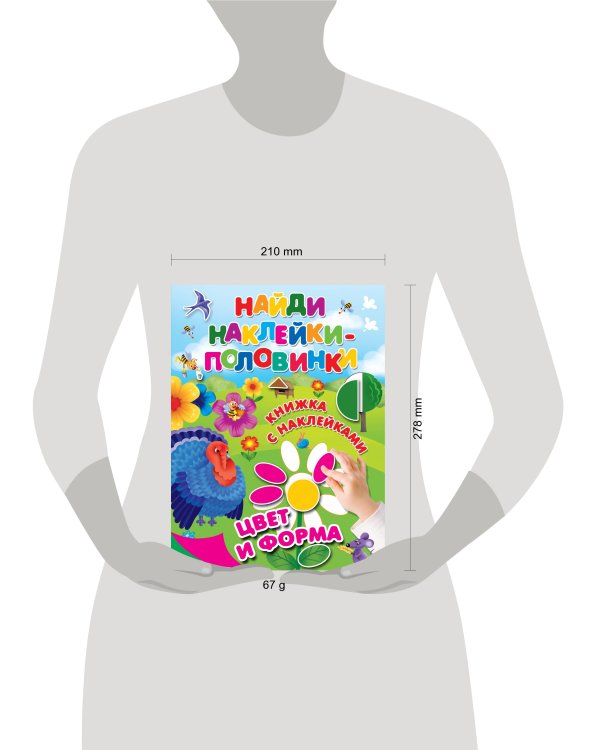 Цвет и форма