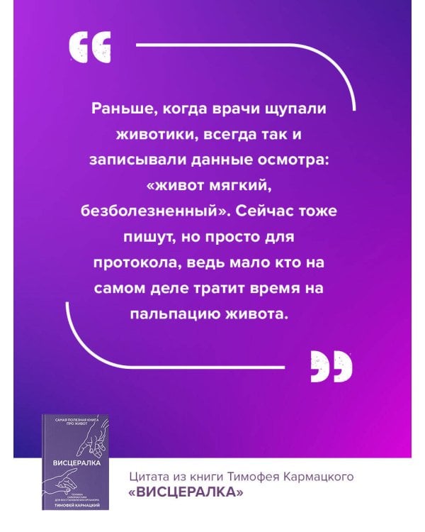 Висцералка. Техника самомассажа для восстановления организма. Самая полезная книга про живот