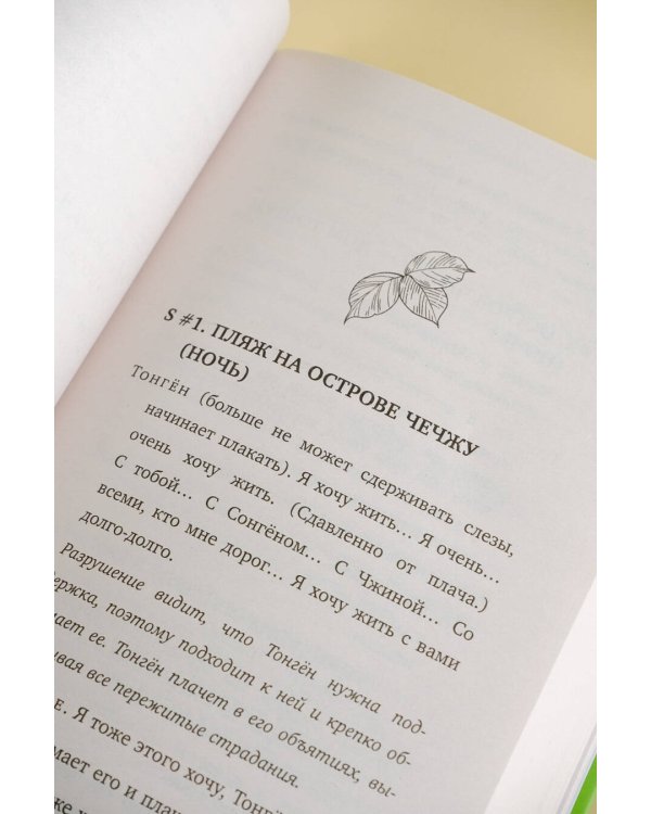 Однажды Разрушение вошло в мой дом. Сценарий. Часть 2