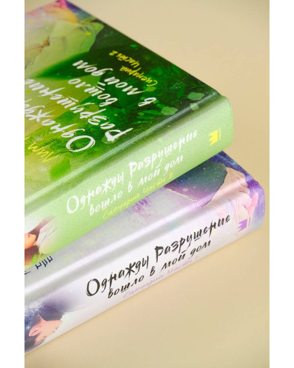 Однажды Разрушение вошло в мой дом. Сценарий. Часть 2