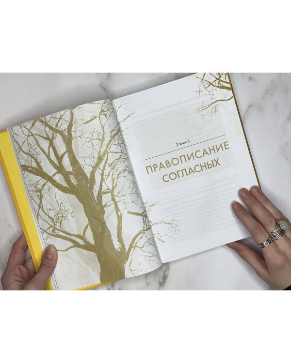 Русский язык. Орфография