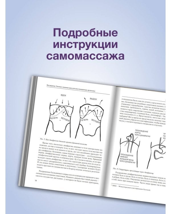 Висцералка. Техника самомассажа для восстановления организма. Самая полезная книга про живот