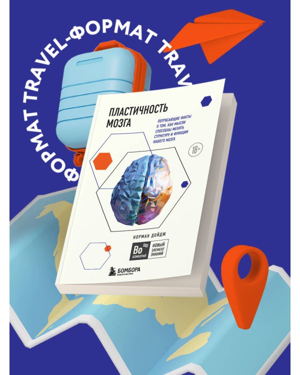 Пластичность мозга. Потрясающие факты о том, как мысли способны менять структуру и функции нашего мозга