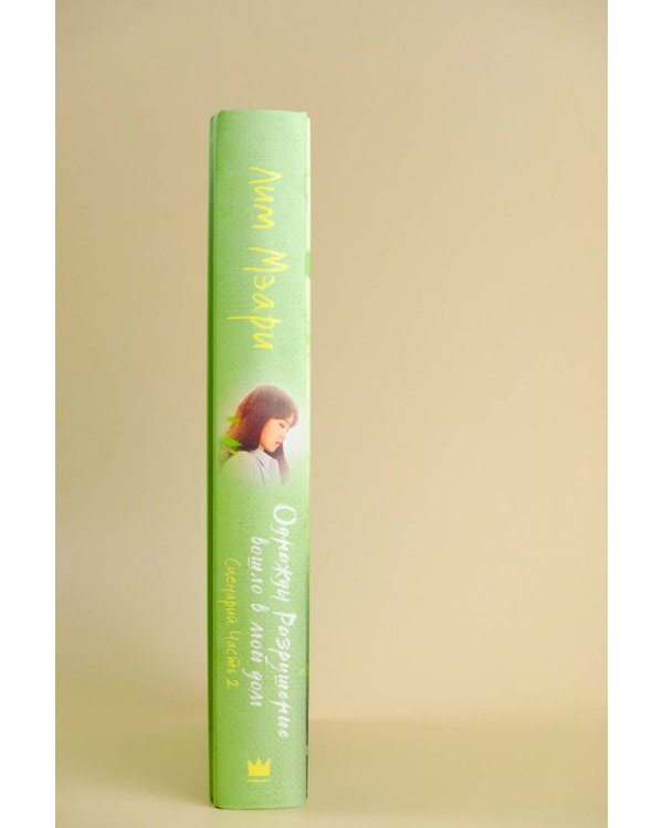 Однажды Разрушение вошло в мой дом. Сценарий. Часть 2