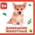 КНИЖКИ НА ПЕНЕ. ДОМАШНИЕ ЖИВОТНЫЕ