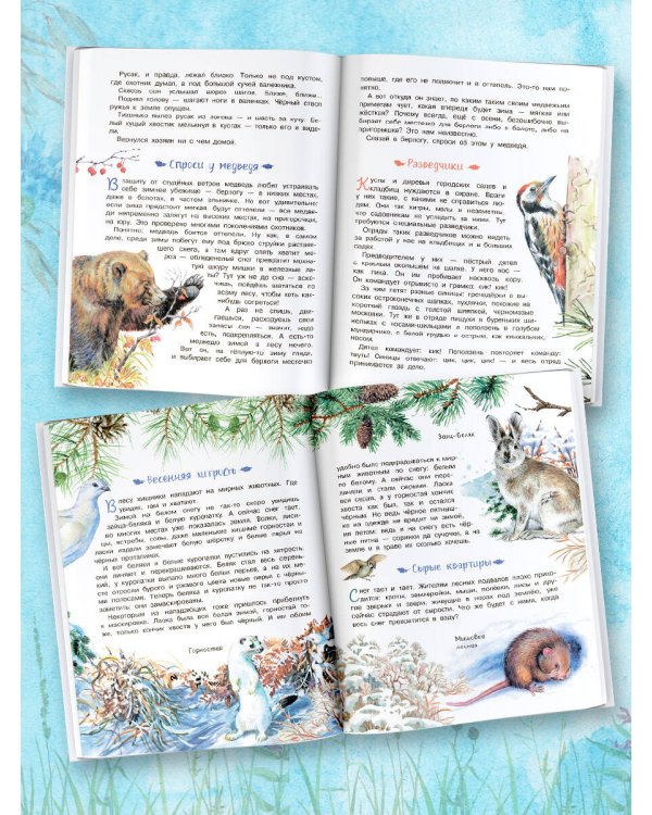 Лесная газета