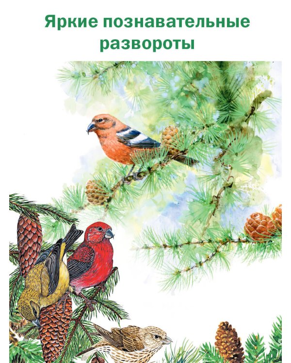 Лесная газета