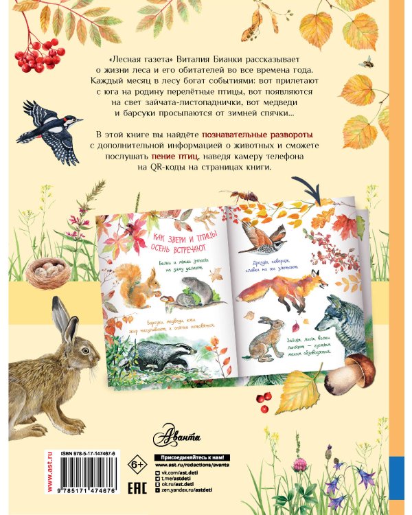 Лесная газета