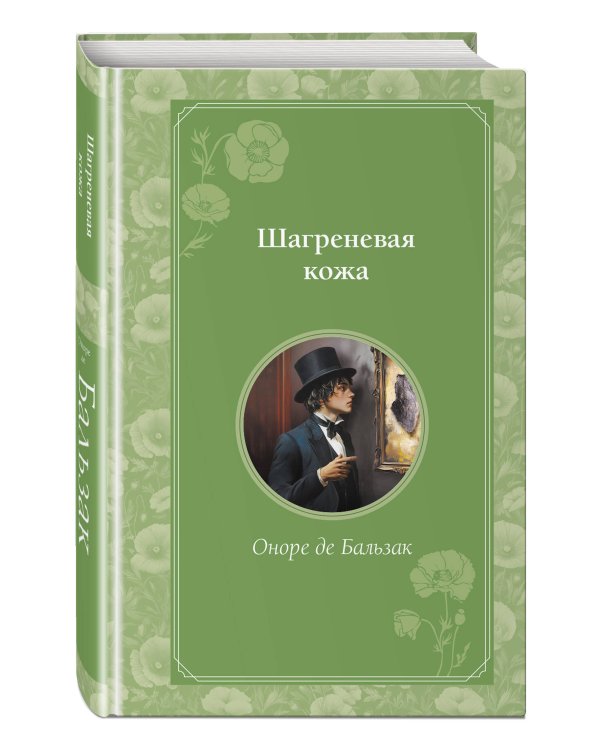 Шагреневая кожа