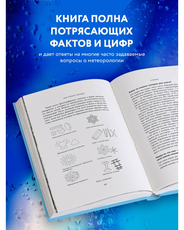 Чем пахнет дождь?