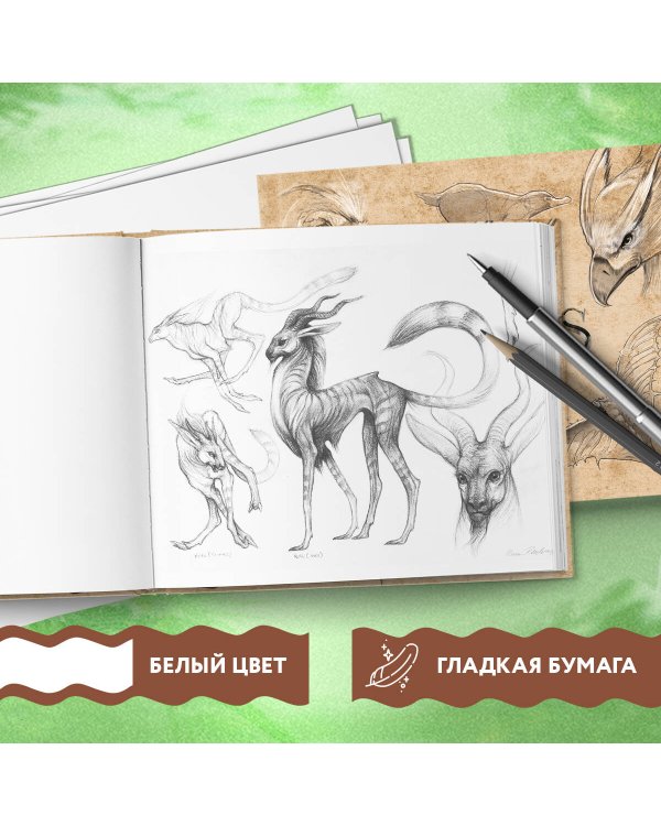 Скетчбук. Фантастические твари (твердый переплет, 96 стр., 240х200 мм)