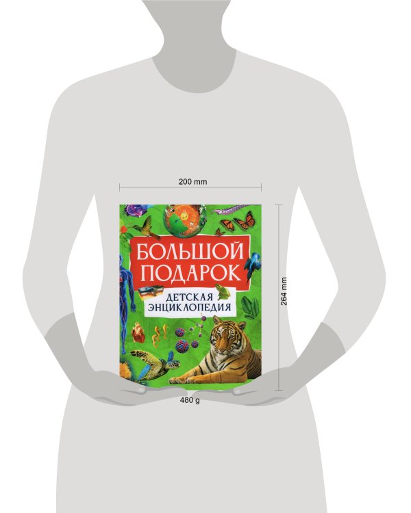 Большой подарок. Детская энциклопедия