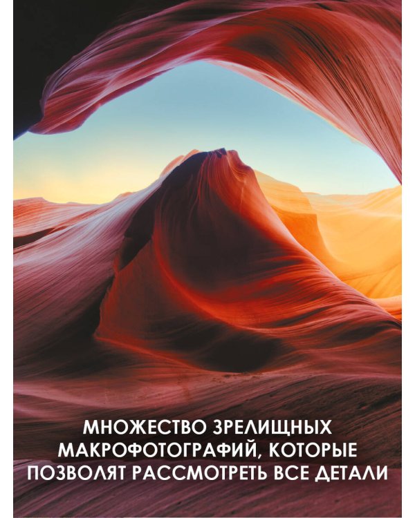 Большая книга о минералах и камнях. 1001 фотография