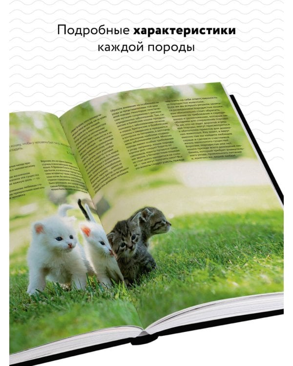 Кошки. Самая полная иллюстрированная энциклопедия