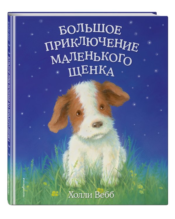 Большое приключение маленького щенка (выпуск 1)