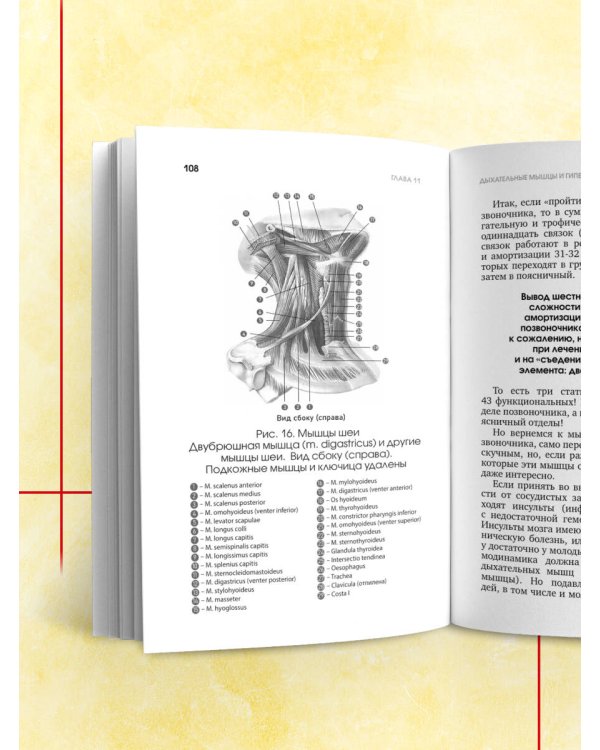 Протрузия, грыжа, спондилоартроз - оперировать нельзя лечить