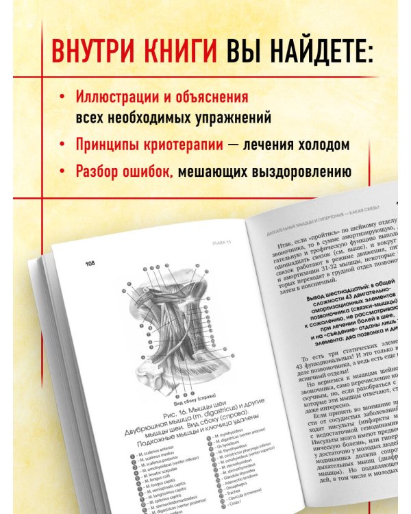 Протрузия, грыжа, спондилоартроз - оперировать нельзя лечить