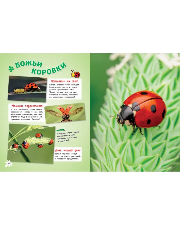 Самые милые животные. Большая энциклопедия для маленьких