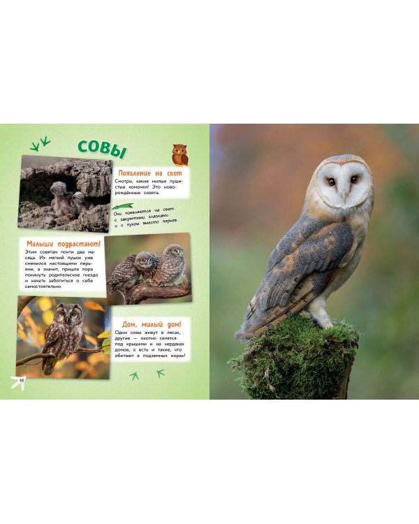 Самые милые животные. Большая энциклопедия для маленьких