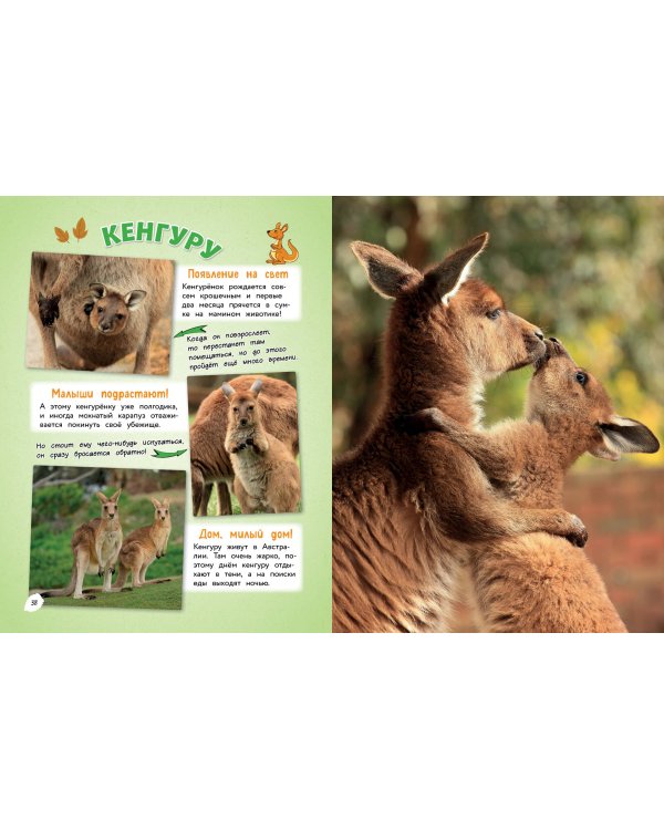 Самые милые животные. Большая энциклопедия для маленьких