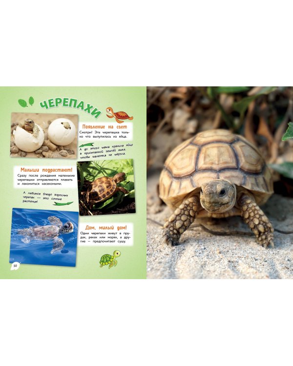 Самые милые животные. Большая энциклопедия для маленьких