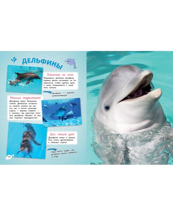 Самые милые животные. Большая энциклопедия для маленьких