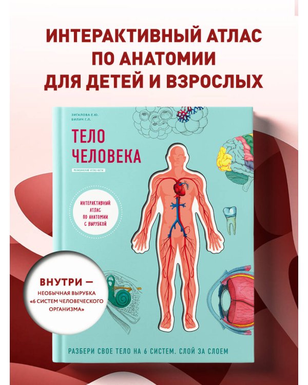 Тело человека. Интерактивный атлас по анатомии с вырубкой. Разбери свое тело на 6 систем. Слой за слоем