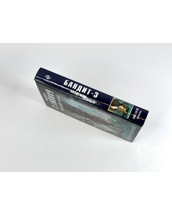 Бандит. Академия