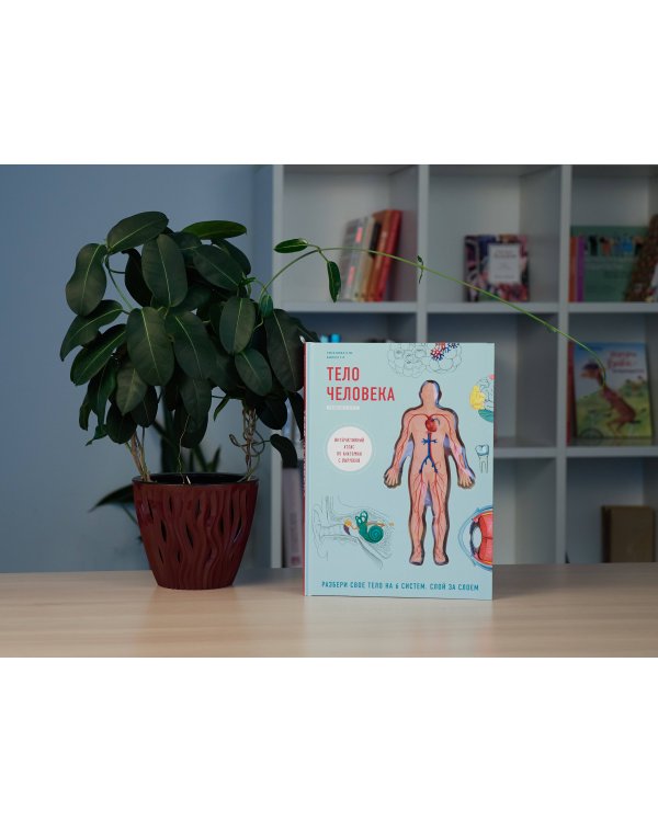 Тело человека. Интерактивный атлас по анатомии с вырубкой. Разбери свое тело на 6 систем. Слой за слоем