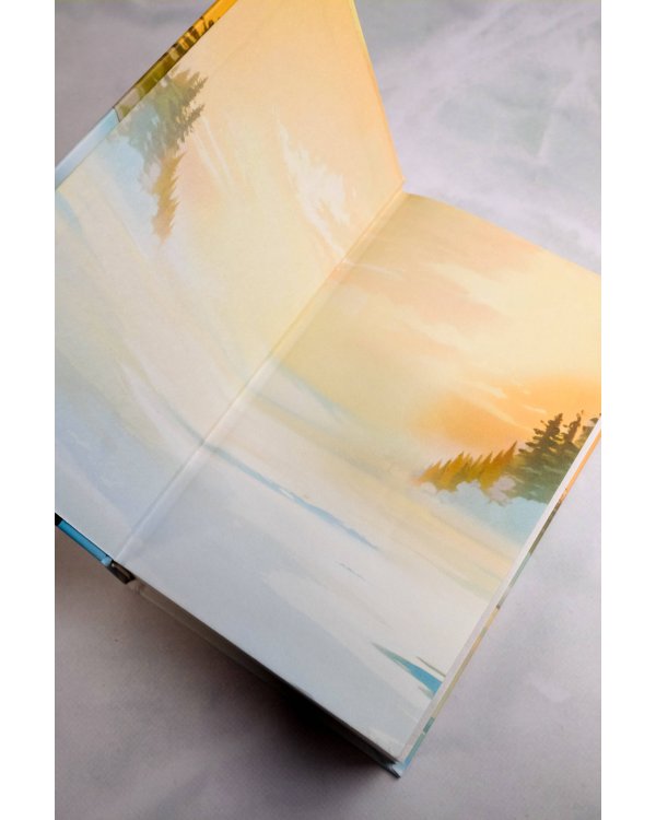 Первым делом самолёты