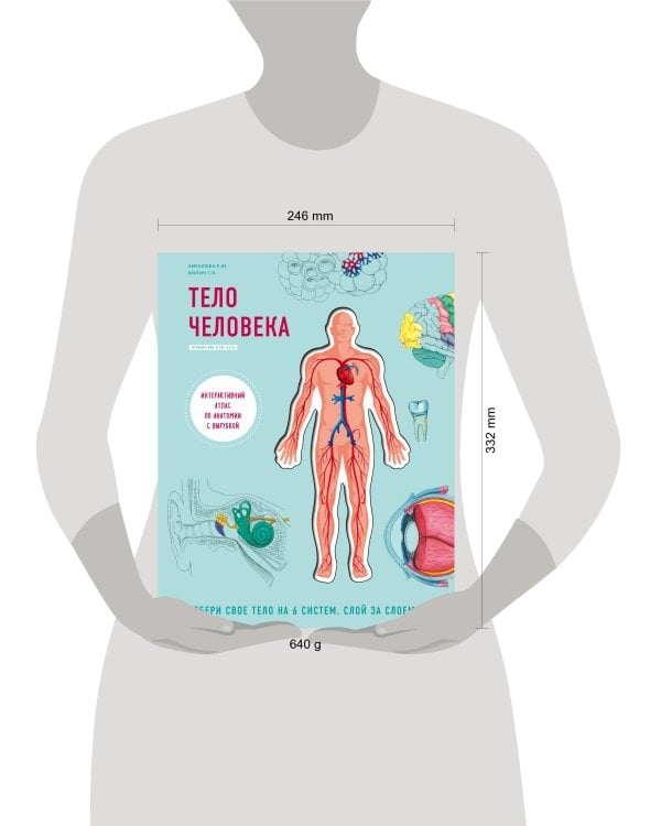 Тело человека. Интерактивный атлас по анатомии с вырубкой. Разбери свое тело на 6 систем. Слой за слоем