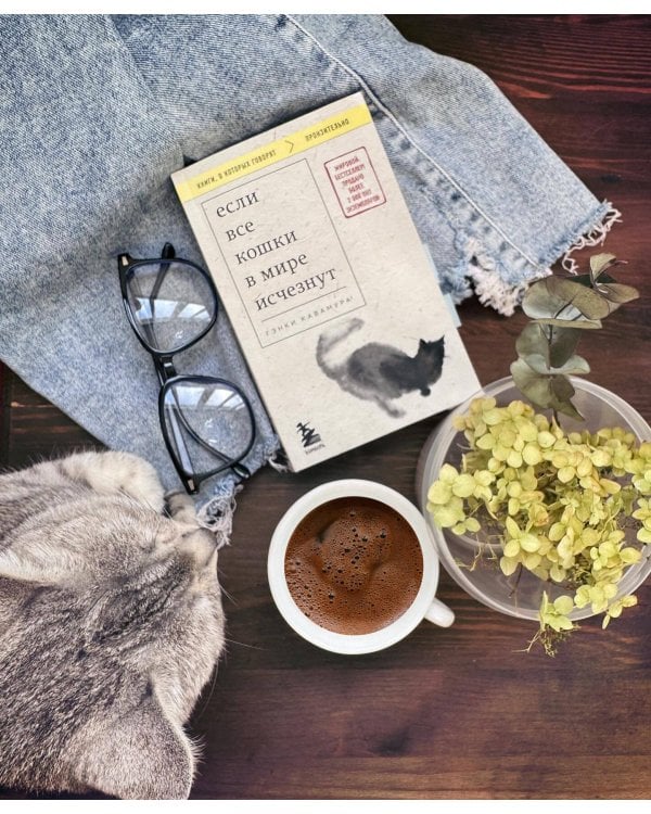 Если все кошки в мире исчезнут (покет)