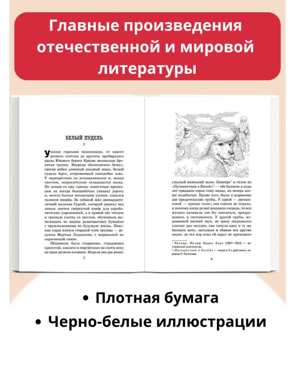 Белый пудель. Рассказы (ил. Н. Воробьёвой)