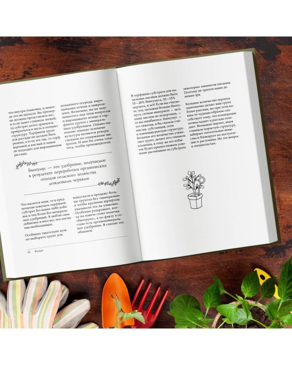 Больше, чем 5 соток. Как на маленьком участке получить максимум урожая