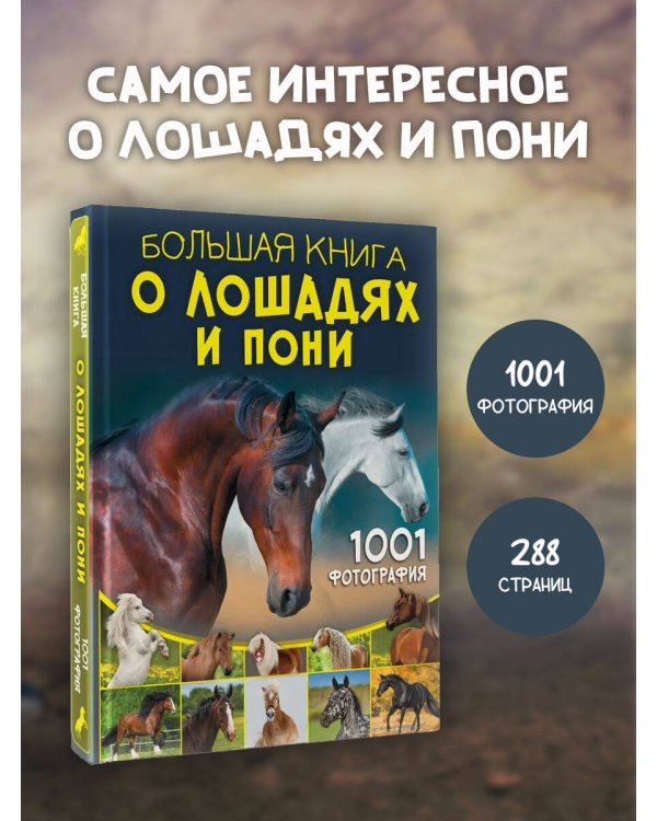 Большая книга о лошадях и пони. 1001 фотография