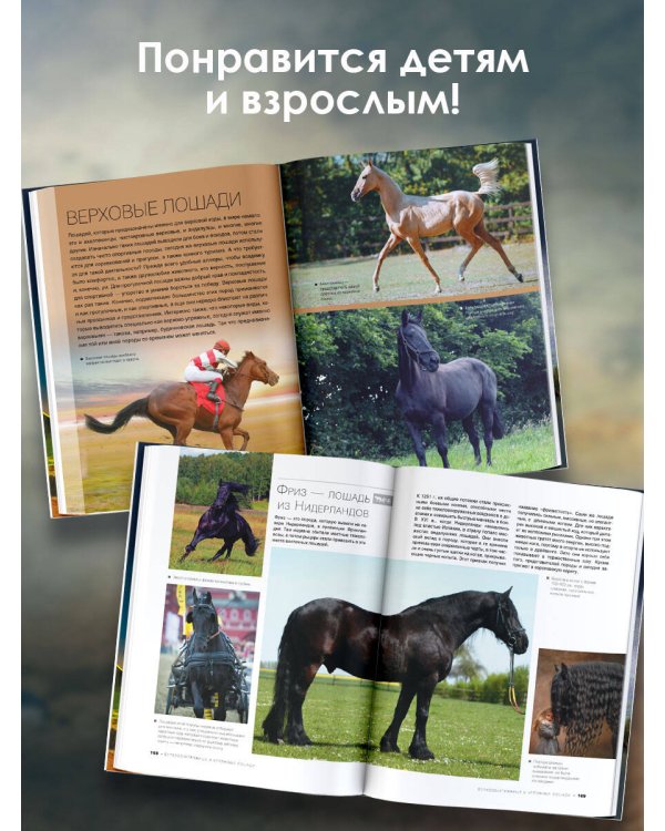 Большая книга о лошадях и пони. 1001 фотография