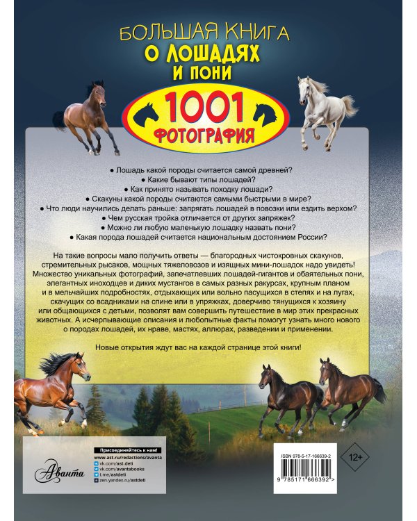 Большая книга о лошадях и пони. 1001 фотография