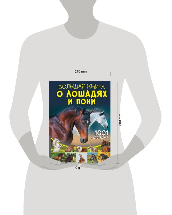 Большая книга о лошадях и пони. 1001 фотография